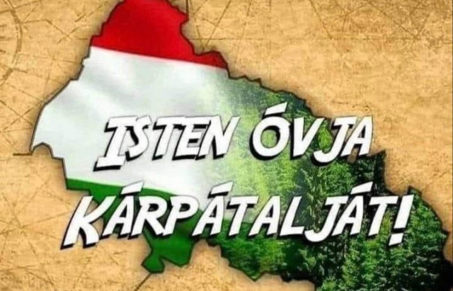 Закарпатская депутат изобразила Закарпатье в цветах венгерского флага