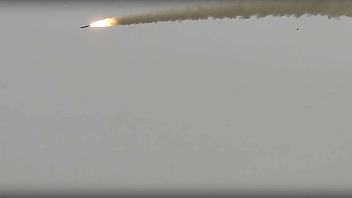 буревісник