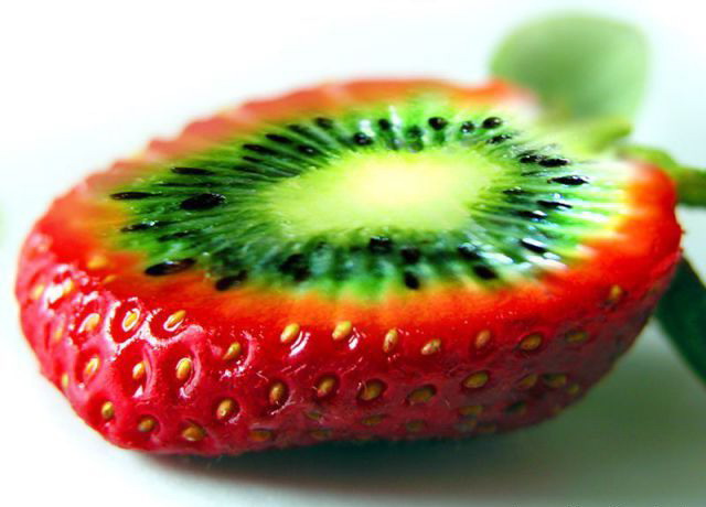 stanis.ru