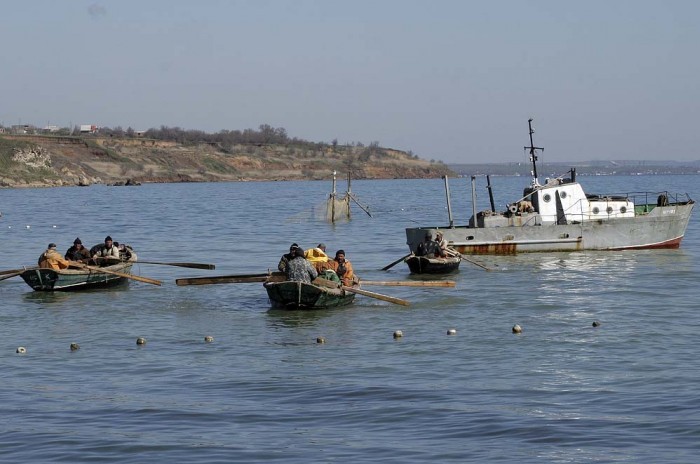 news.allcrimea.net